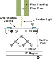 Avalanche Photodiode