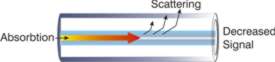 Causes of Attenuation in Optical F iber