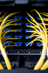 Fiber Cables