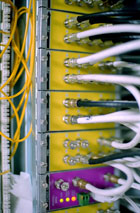 Fiber & Coax