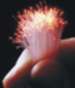 Optical Fiber is a Passive Device