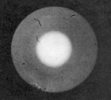 Well-cleaved Optical Fiber